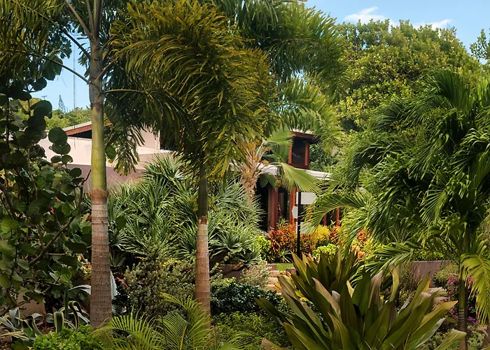 Cocoa Cove Resort